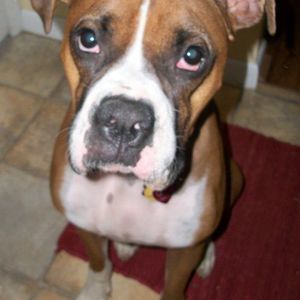 Meet your Posher, Debbie